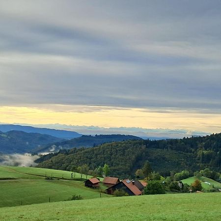 Ferienwohnung Auf Dem Bueckle Kleines Wiesental Exterior photo
